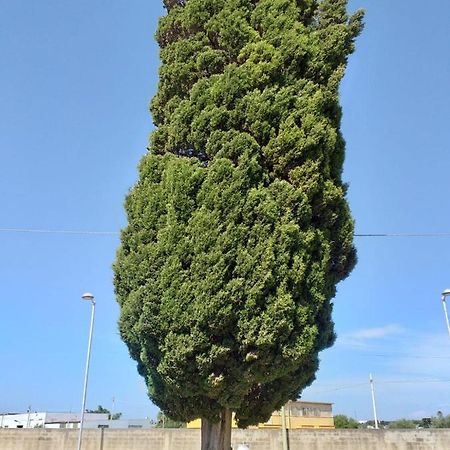 L'Albero Bello Holiday Mazara del Vallo Zewnętrze zdjęcie