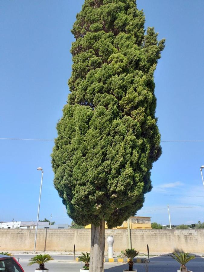 L'Albero Bello Holiday Mazara del Vallo Zewnętrze zdjęcie